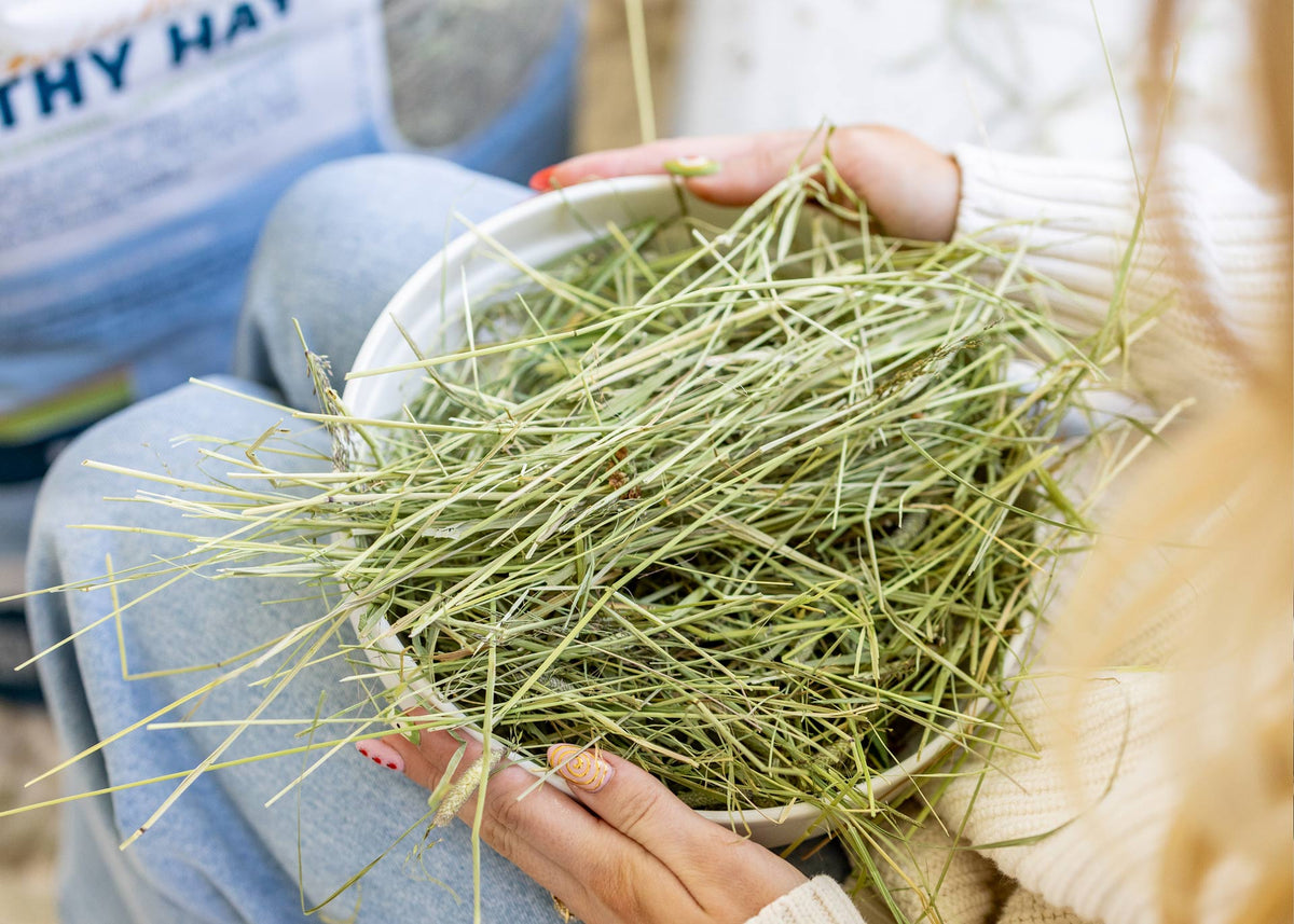 Mountain-Grown Timothy Hay, 12lbs