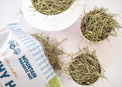 Mountain-Grown Timothy Hay, 12lbs